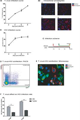 Astrocyte Apoptosis and HIV Replication Are Modulated in Host Cells Coinfected with Trypanosoma cruzi